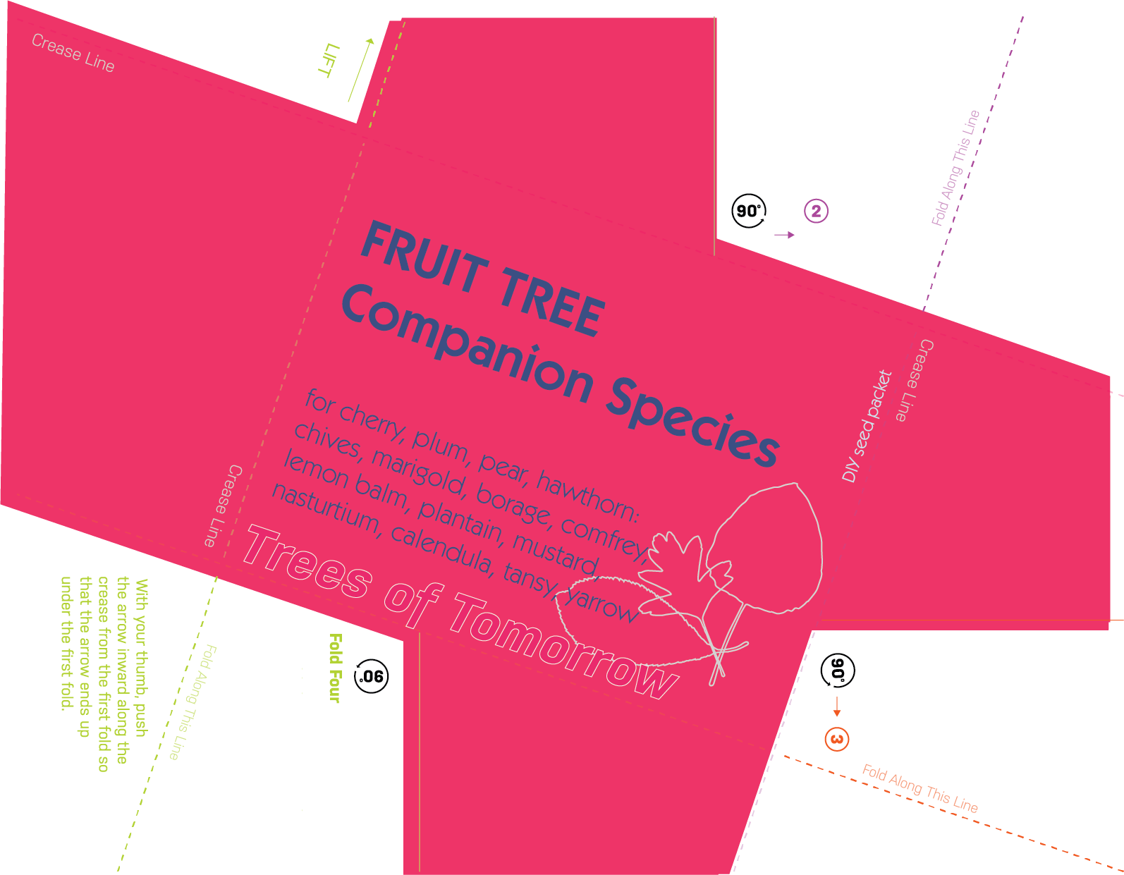 Fruit-seedpacketscopy - Envelope (1594x1241), Png Download