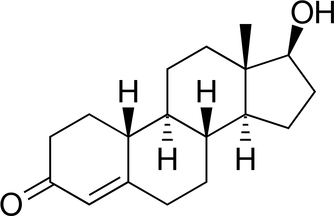 19 Nortestosterone (1200x804), Png Download