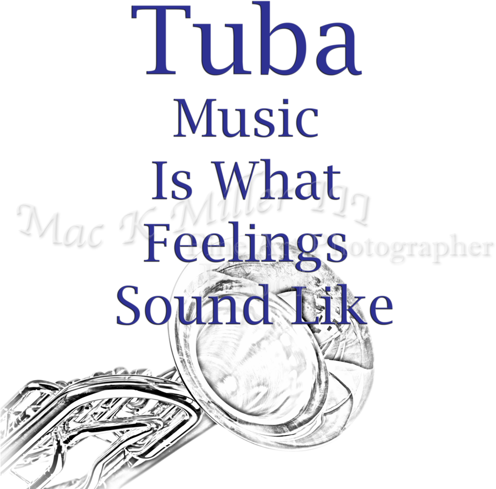 Comune Di Alba Adriatica (1000x1000), Png Download