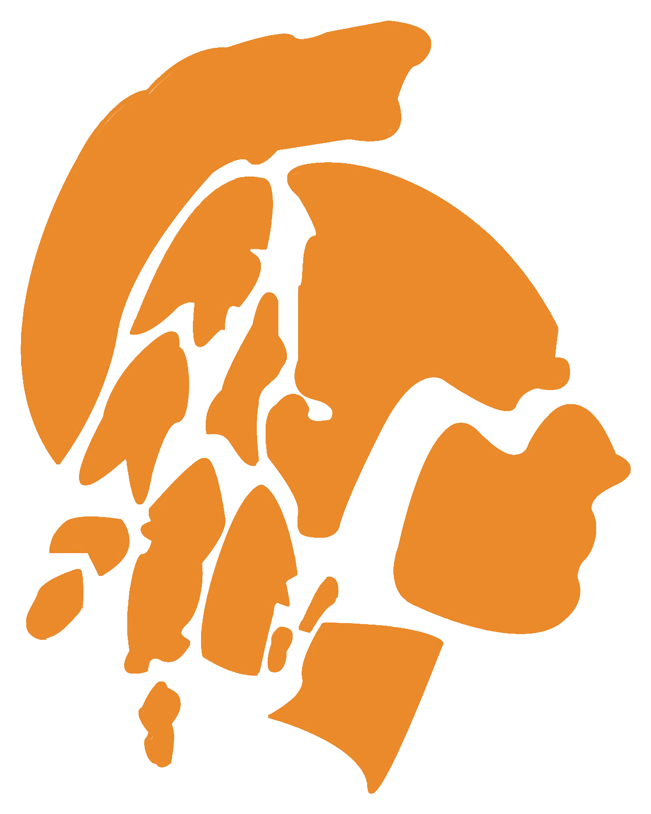 Boone Braves - Boone High School Brave Head (2119x2618), Png Download