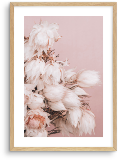 Blushing Bride No 2 - Chrysanths (481x600), Png Download