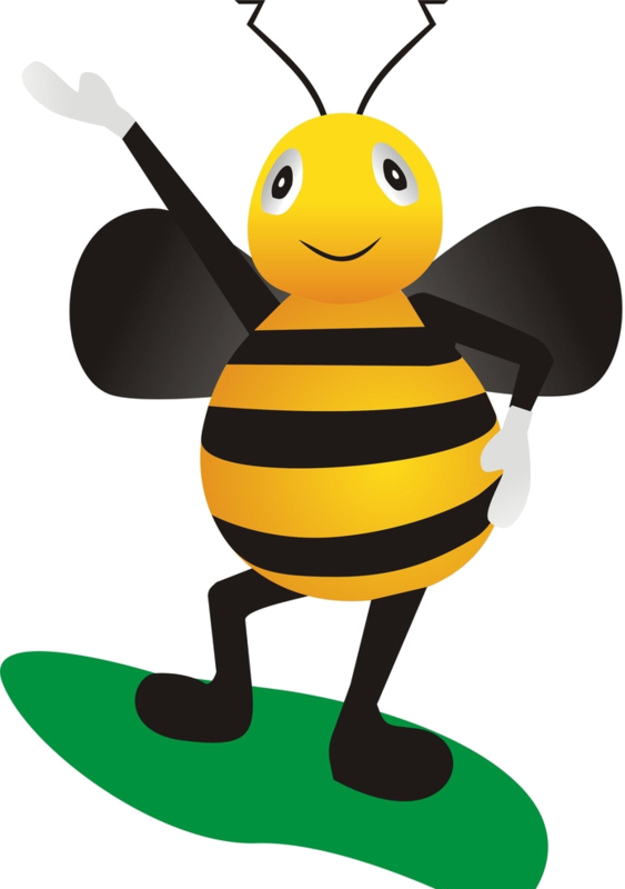 Bee Clipartbumble - Honey Bee (563x800), Png Download