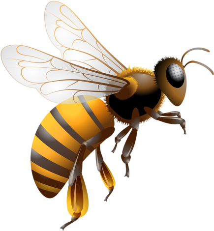 Cartoon Bee Clipart Character - Ee Or Jolly Phonics (445x500), Png Download