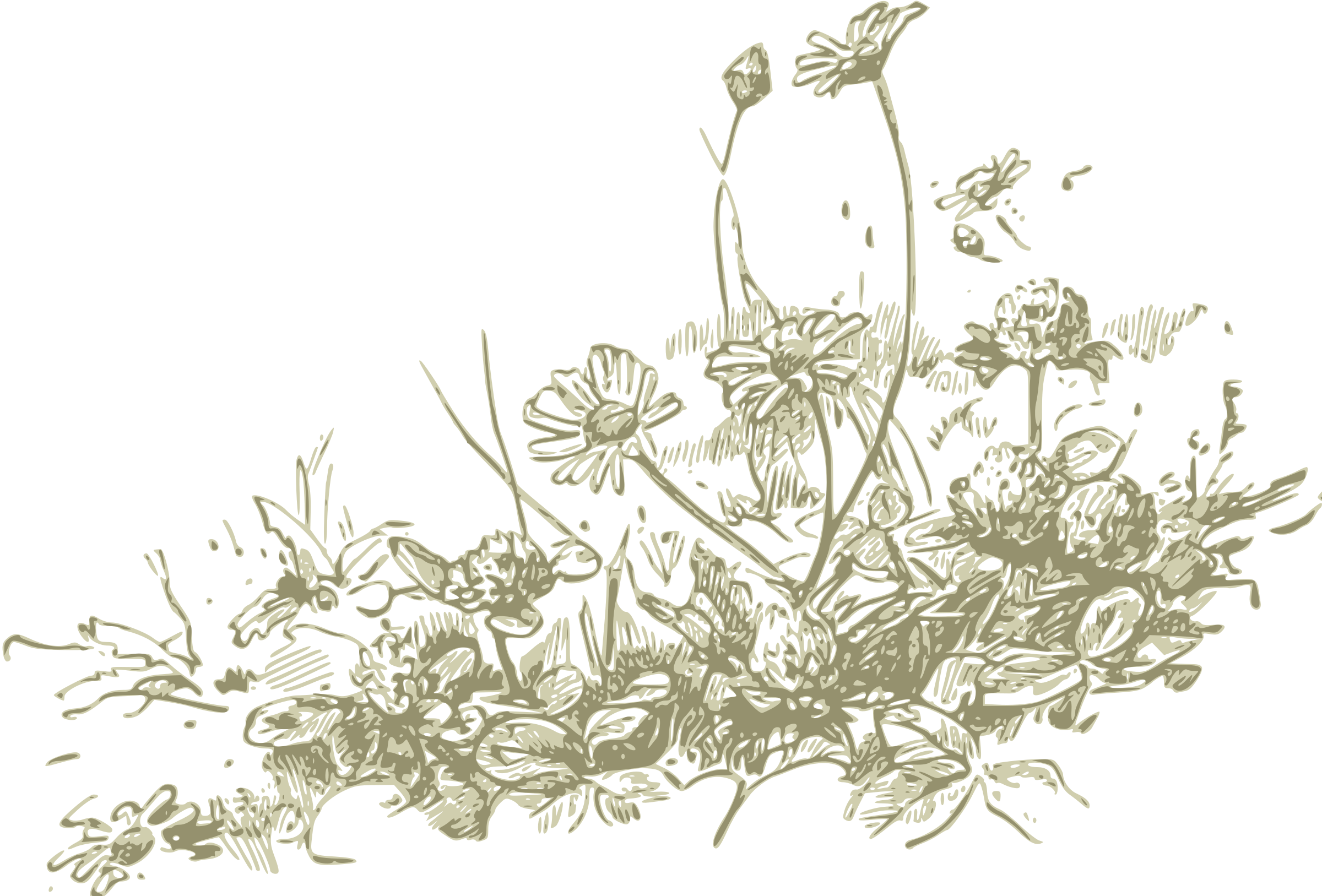 This Free Icons Png Design Of Wildflowers (2400x1627), Png Download