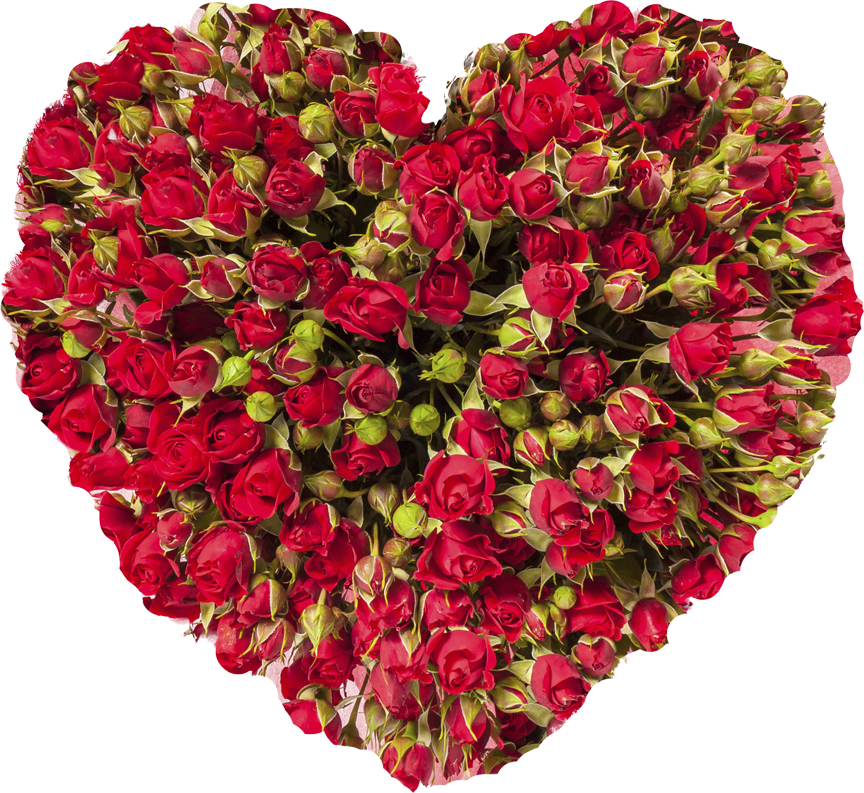 早 安 生病 (864x793), Png Download