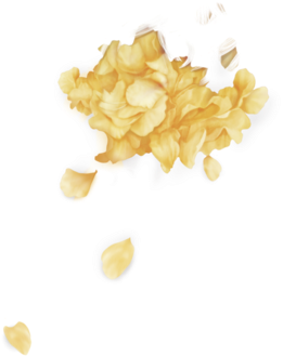 Png And Troye Sivan Image - Wild Troye Sivan Png (500x500), Png Download