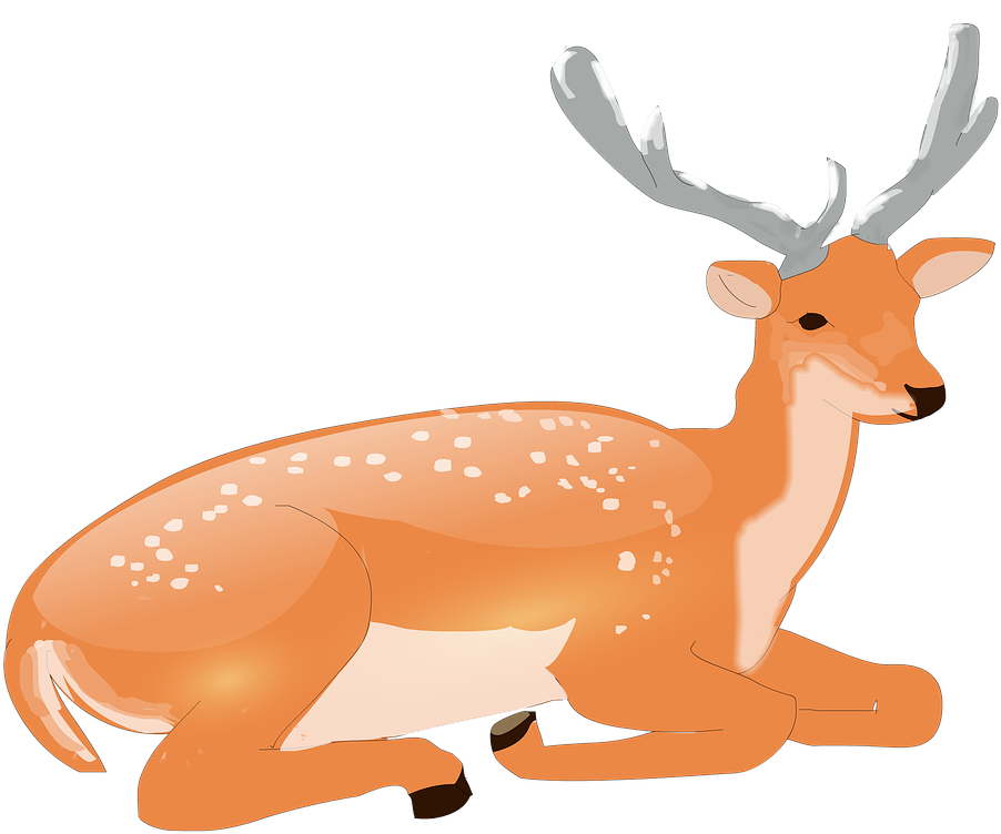 Free Photo From Needpix - Dibujo Z Venado Acostado (1280x930), Png Download