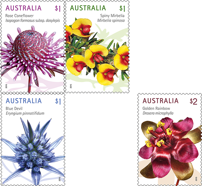 Set Of Wildflowers Stamps (800x600), Png Download