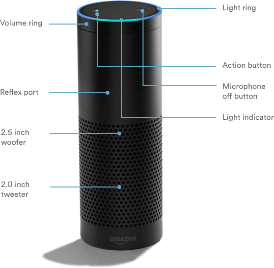 Color - Vivint Amazon Echo (558x546), Png Download
