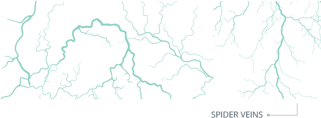 Veins Png Image - Cartoon (760x280), Png Download