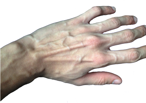 Lmao Hands Weheartit Fingers Png Transparent Veins - Transparent Hands (500x371), Png Download