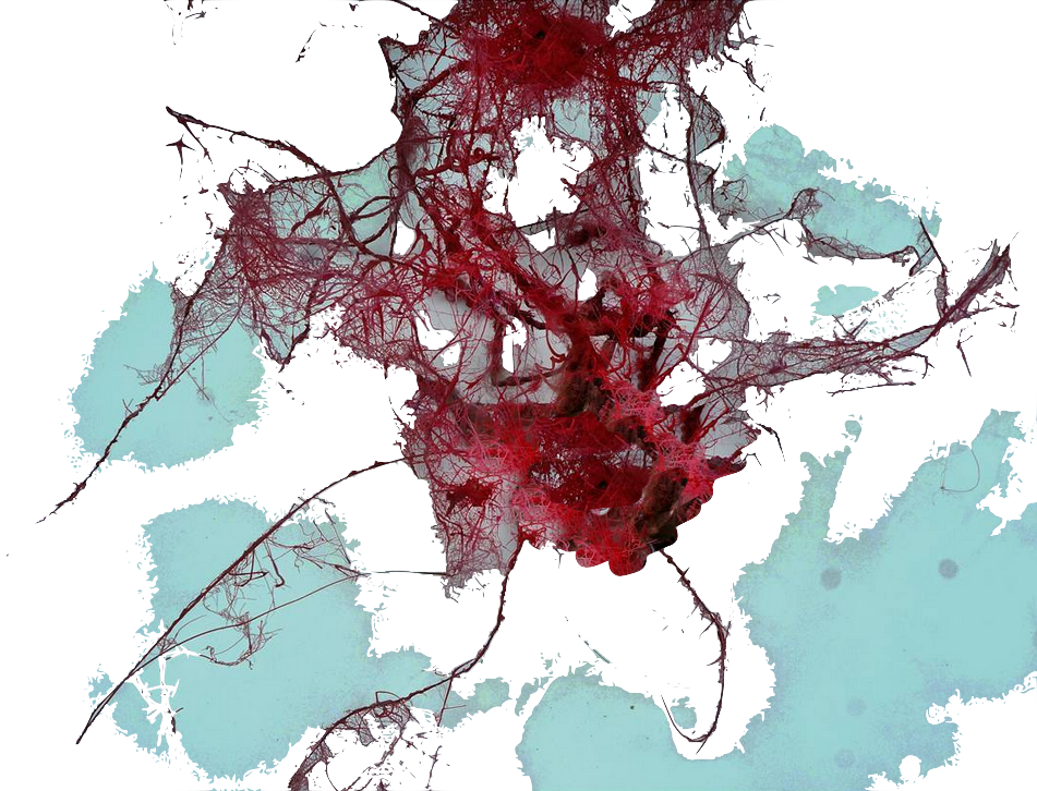 Nerves Veins Winter Ntp - Swamp Maple (951x726), Png Download