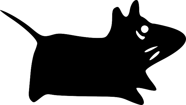 Animals, Mouse, Mammals, Org, Logo, Fred, Animal - Xfce Mouse (640x360), Png Download