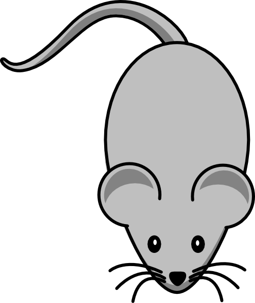 Grey Clipart Mouse Animal - Clipart Mouse (504x599), Png Download