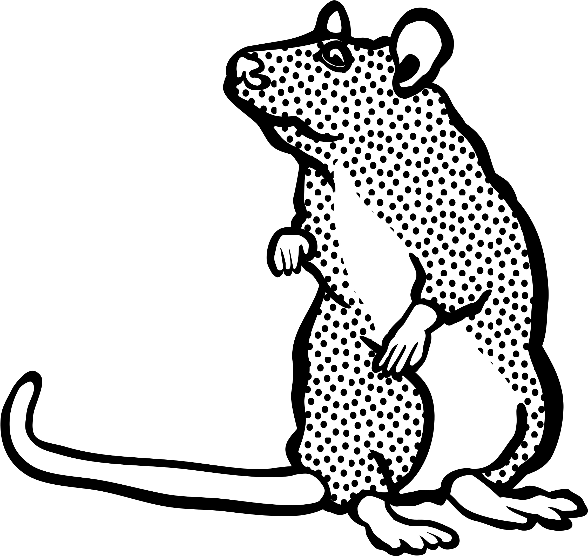This Free Icons Png Design Of Mouse Two (2400x2325), Png Download