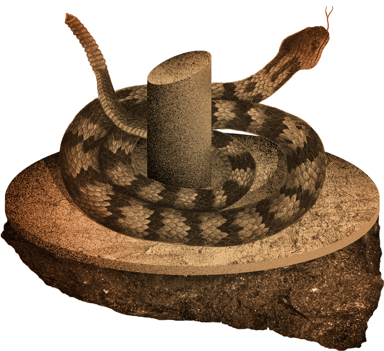 Google Home And Amazon Echo Are Constantly Listening, - Portable Network Graphics (1000x852), Png Download