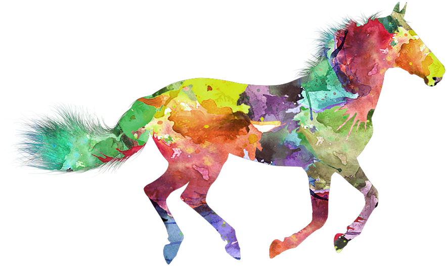 Free Photo Nice Horse Painted Colorful Max - Colorful Horse (960x540), Png Download
