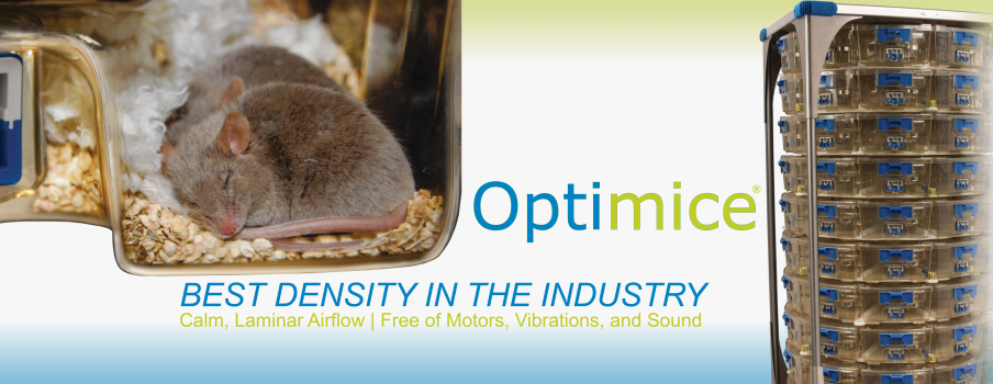Optirat Genii - Marsh Rice Rat (904x350), Png Download