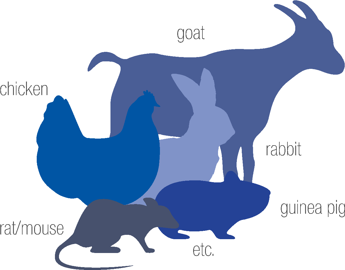 Species (1394x1130), Png Download