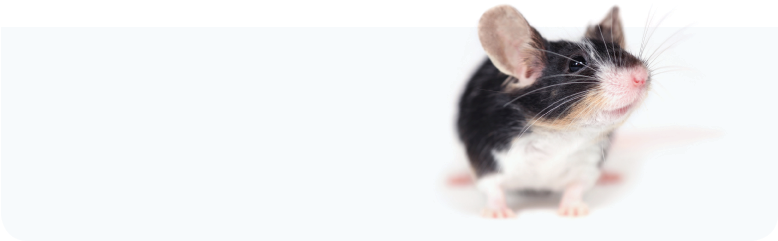 Delete Case - Looking After A Mouse (777x340), Png Download