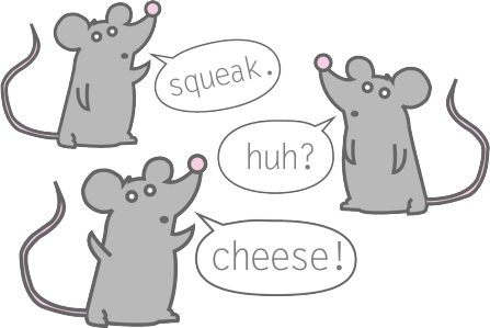 Mouse - Rat (447x299), Png Download