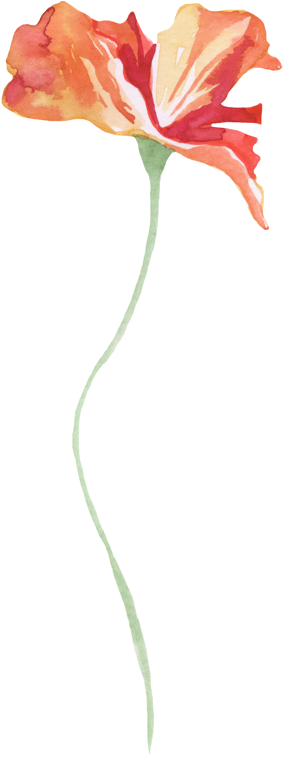 Slender Red Flower Decoration Vector - Ibis (1024x2602), Png Download