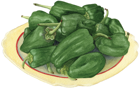 Padron Peppers - Okra (500x329), Png Download