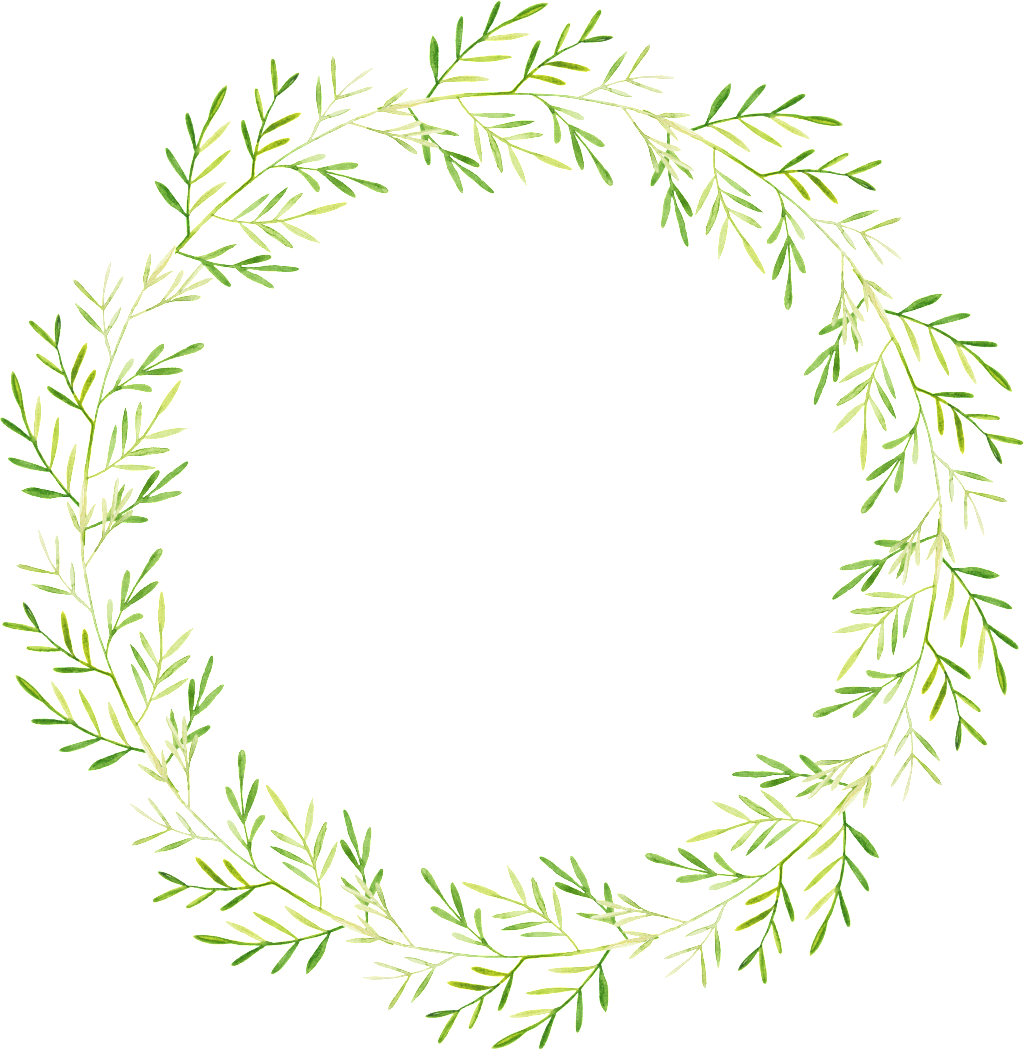 Chili Green Leaf Cartoon Transparent - Watercolor Vines Wreath Transparent Background (1024x1050), Png Download