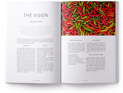 Spice Lookbook - Chili Pepper (404x316), Png Download