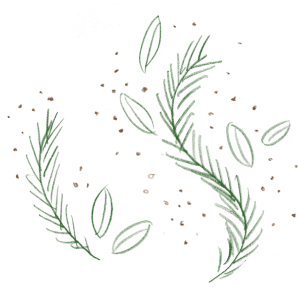 Rosemary 1-v2 - Scoop (1000x625), Png Download