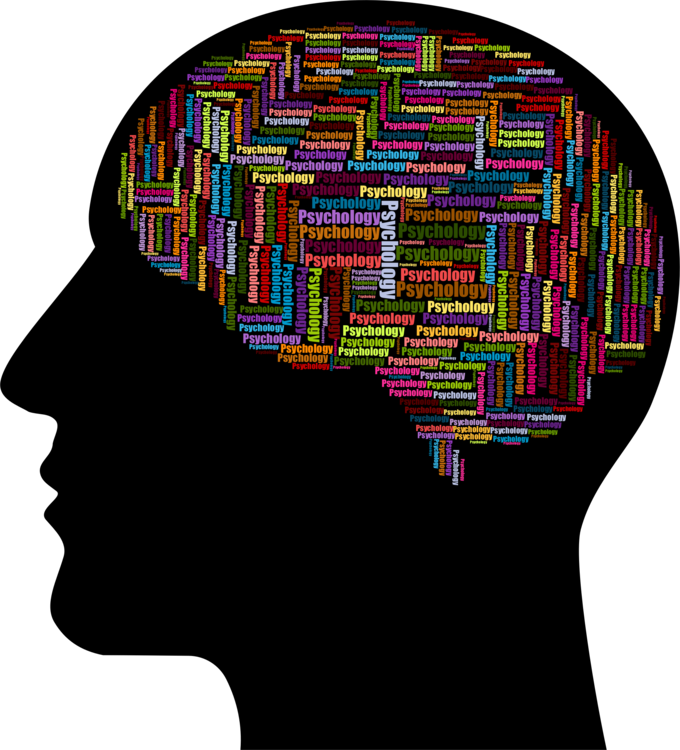 Health Psychology Woman Psychologist Mind - Psychology Brain (680x750), Png Download