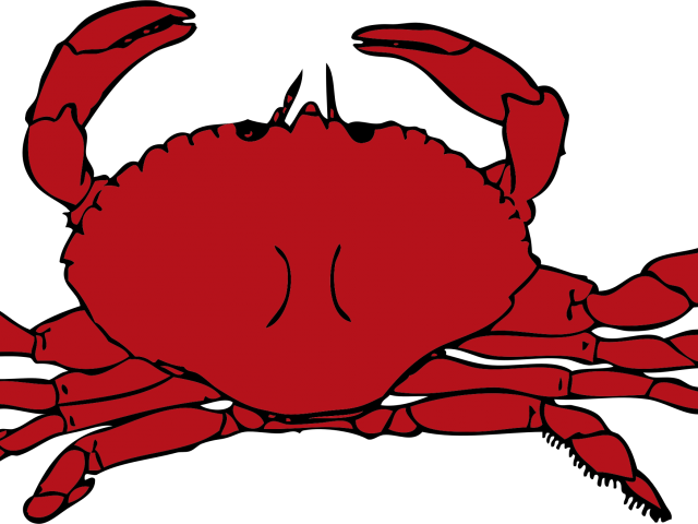 Hermit Crab Clipart Underwate Creature (640x480), Png Download