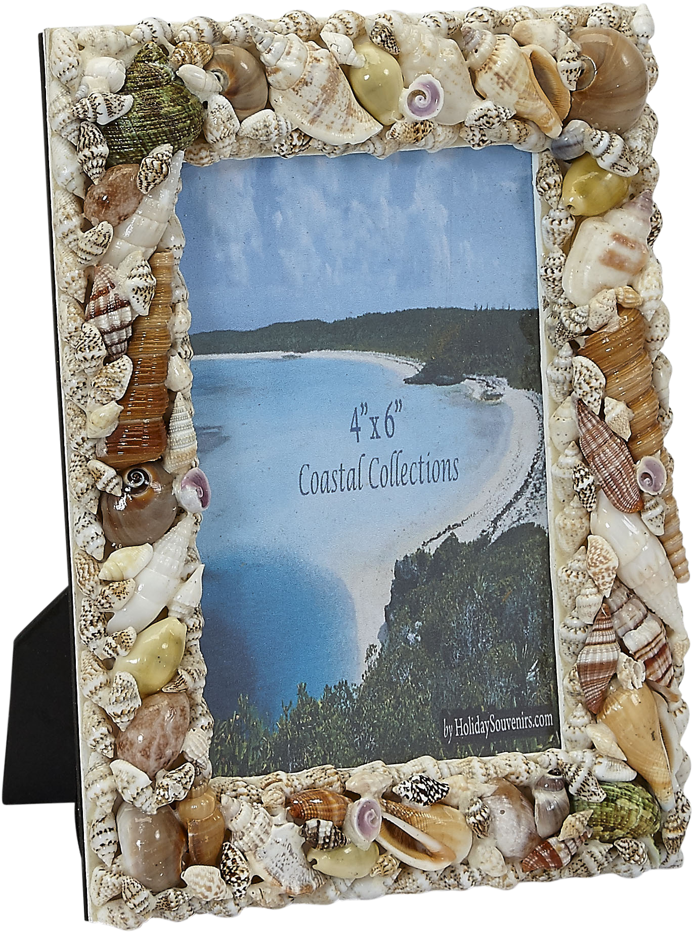 Photo Frame-natural Shells 4x6" (1823x2450), Png Download