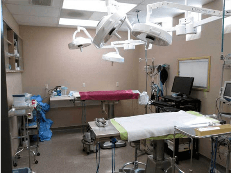 Procedures (1000x594), Png Download