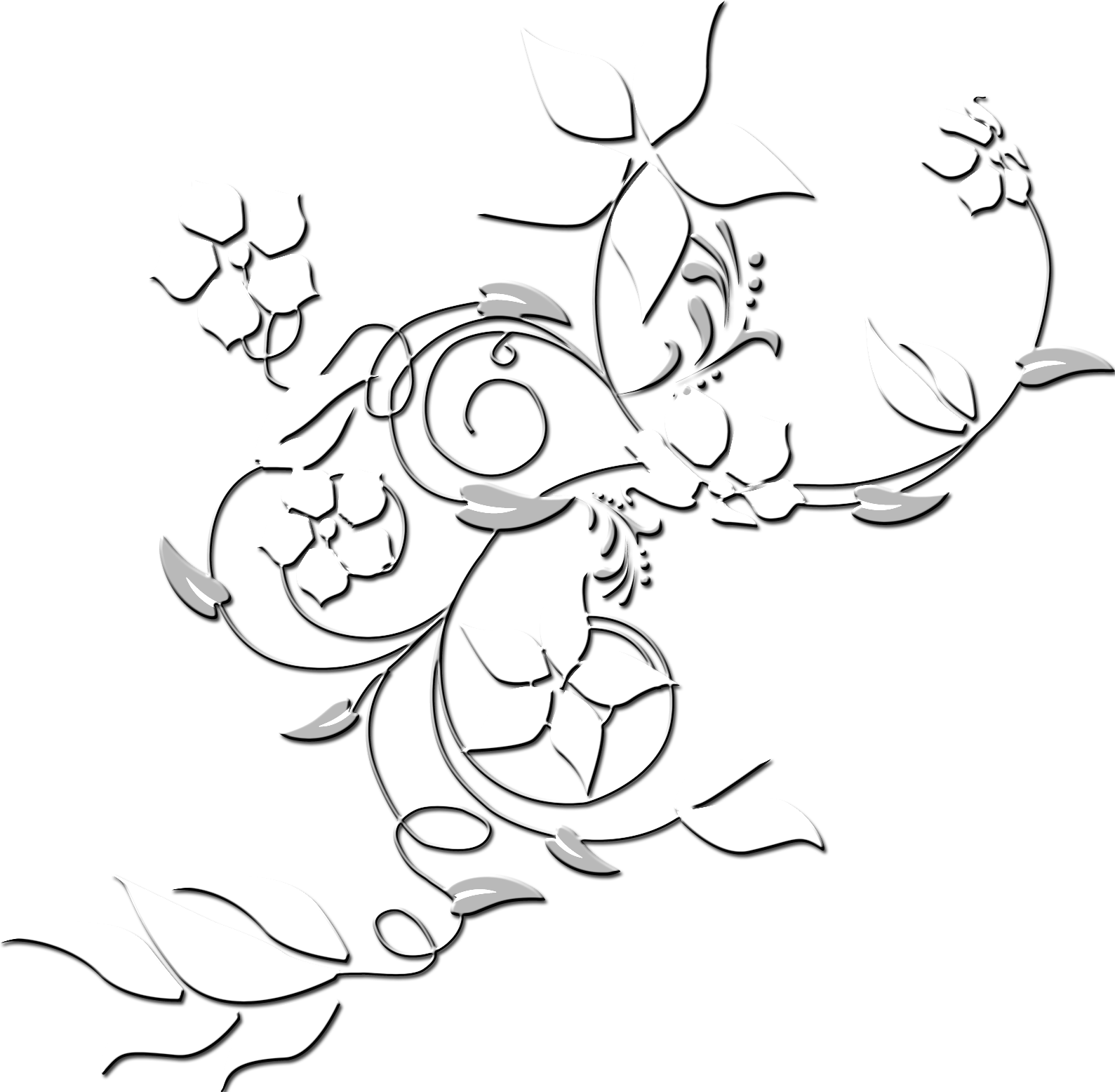 Vine 1 Image (1589x1556), Png Download