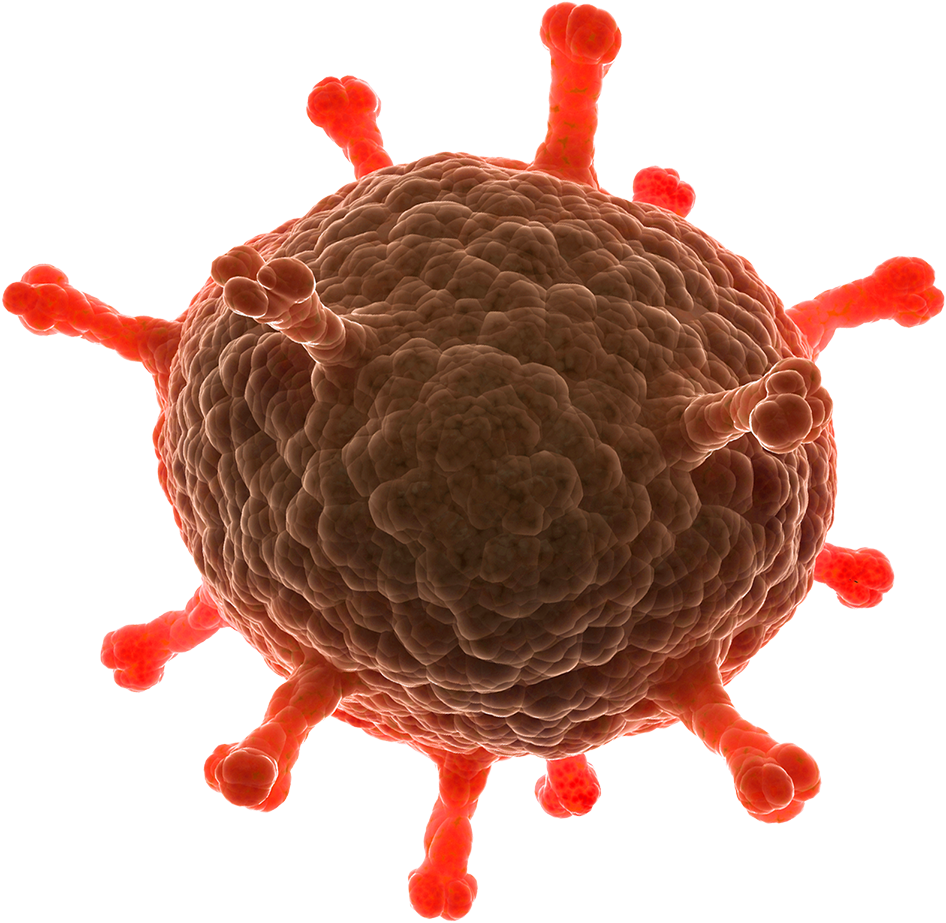 Disease Free Download Png (946x923), Png Download
