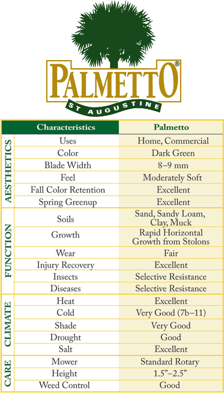 Palmetto St (457x800), Png Download