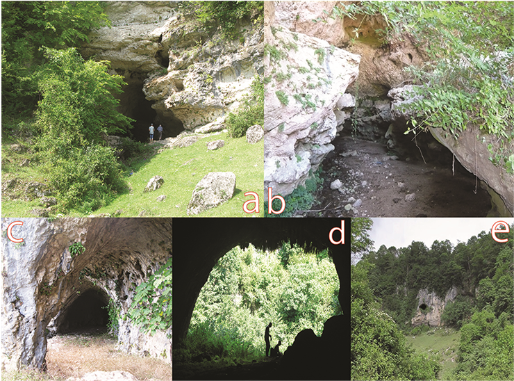 Entrance To Khvedelidzeebisklde Cave (903x547), Png Download