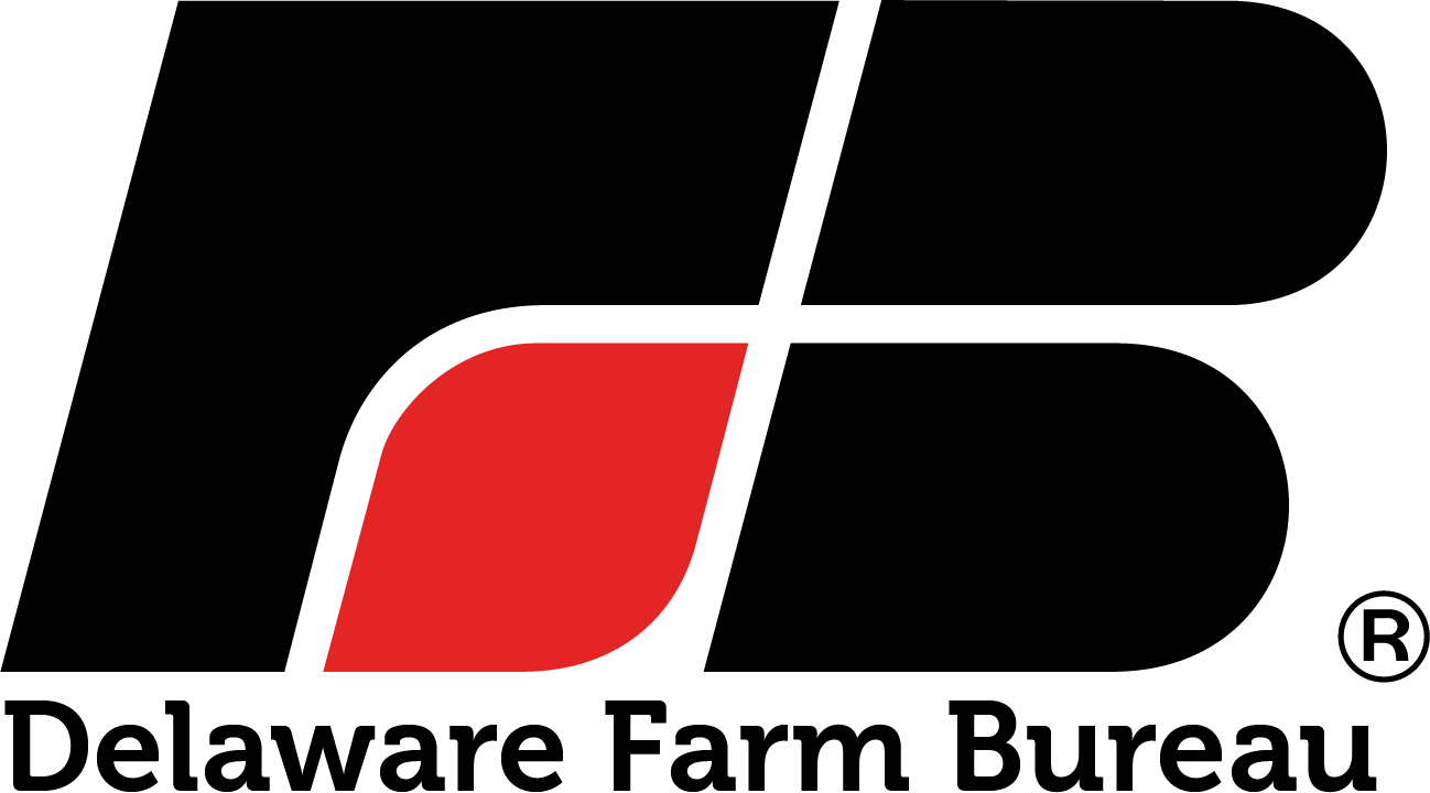 17 Pm 217065 Defb Topheader 12/4/2017 (1298x720), Png Download