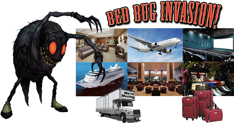 How To Remove Bed Bugs San Diego (800x440), Png Download