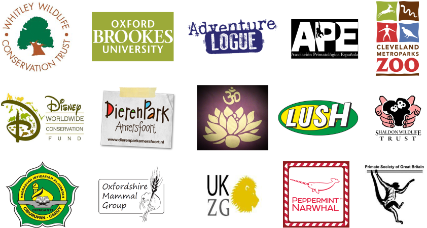 Logos Slow Copy (900x500), Png Download