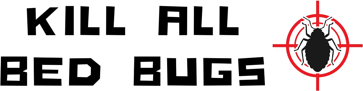 Bed Bug Png (1280x335), Png Download