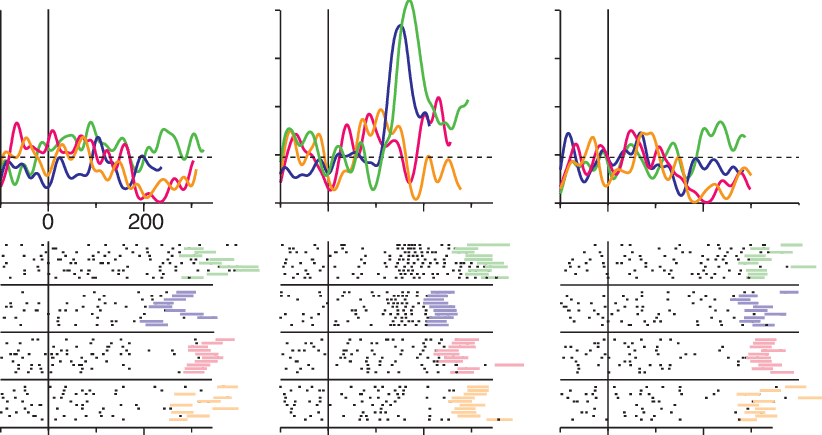 Response Of An Anterior Inferotemporal Cortex Neuron (822x435), Png Download