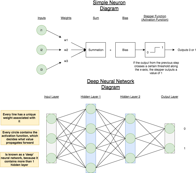 Neuron (808x704), Png Download