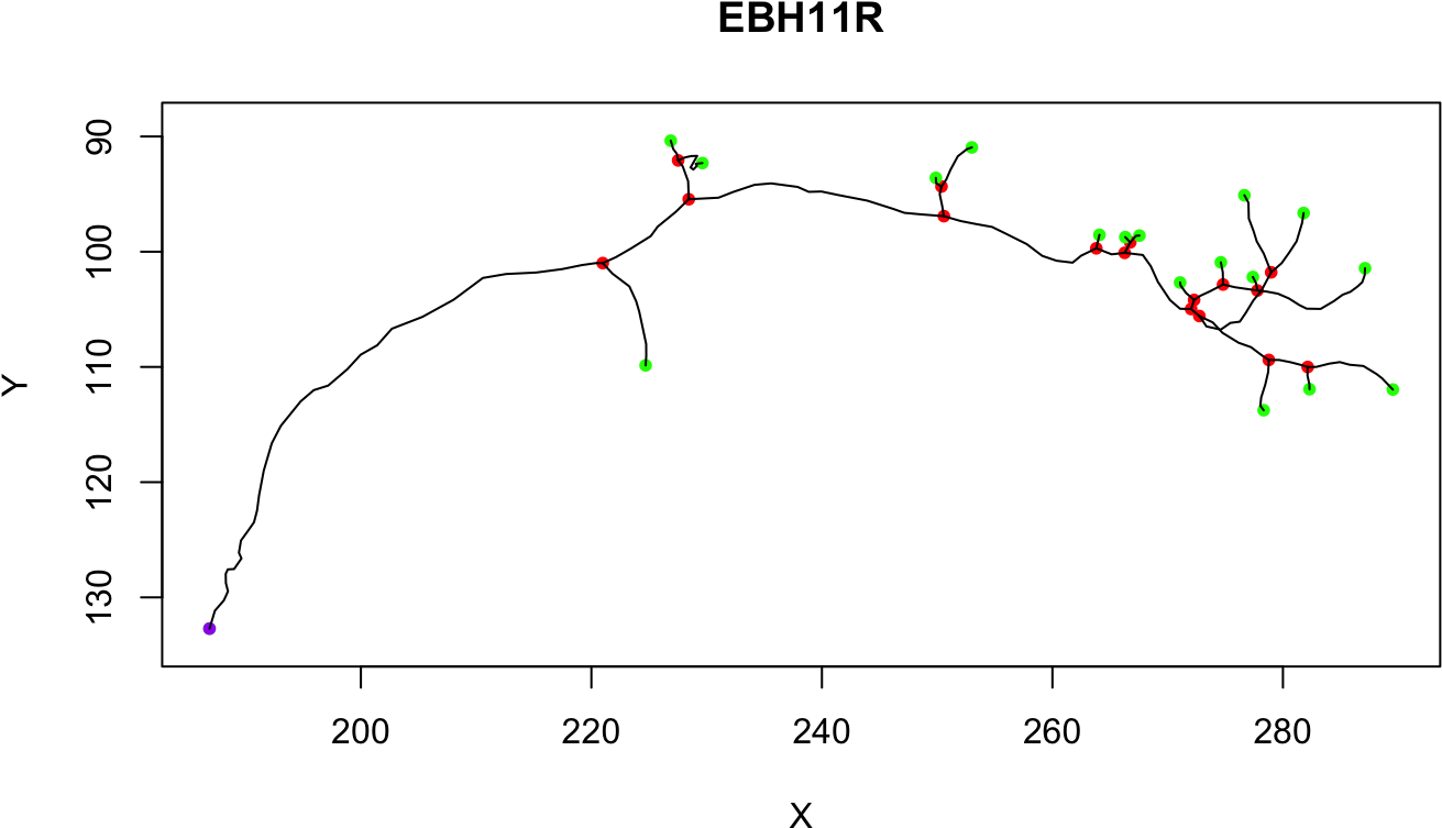 All Methods For Neuron Objects Methods (1400x866), Png Download