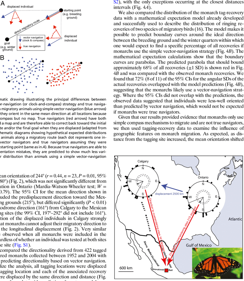 Circular Plots Depicting The Individual And Group Mean (850x979), Png Download