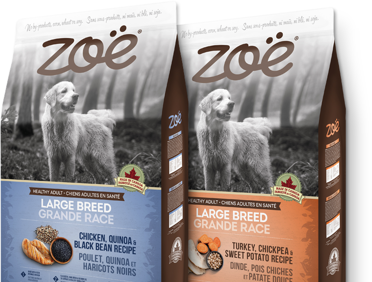 Why Zoë (766x580), Png Download
