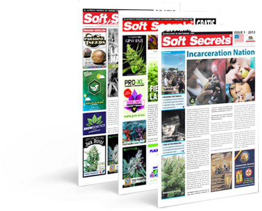 Soft Secrets Now Also Available Online (717x549), Png Download