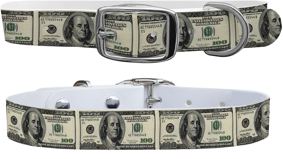 100 Dollar Bill Dog Collar (1024x1024), Png Download