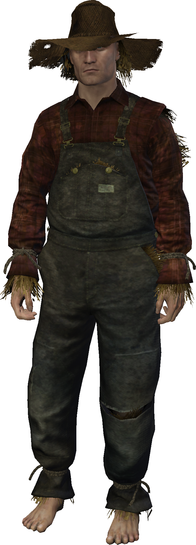 Scarecrow Outfit (675x1873), Png Download